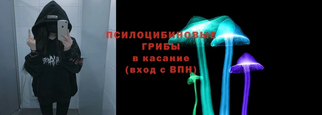 метадон Алексеевка